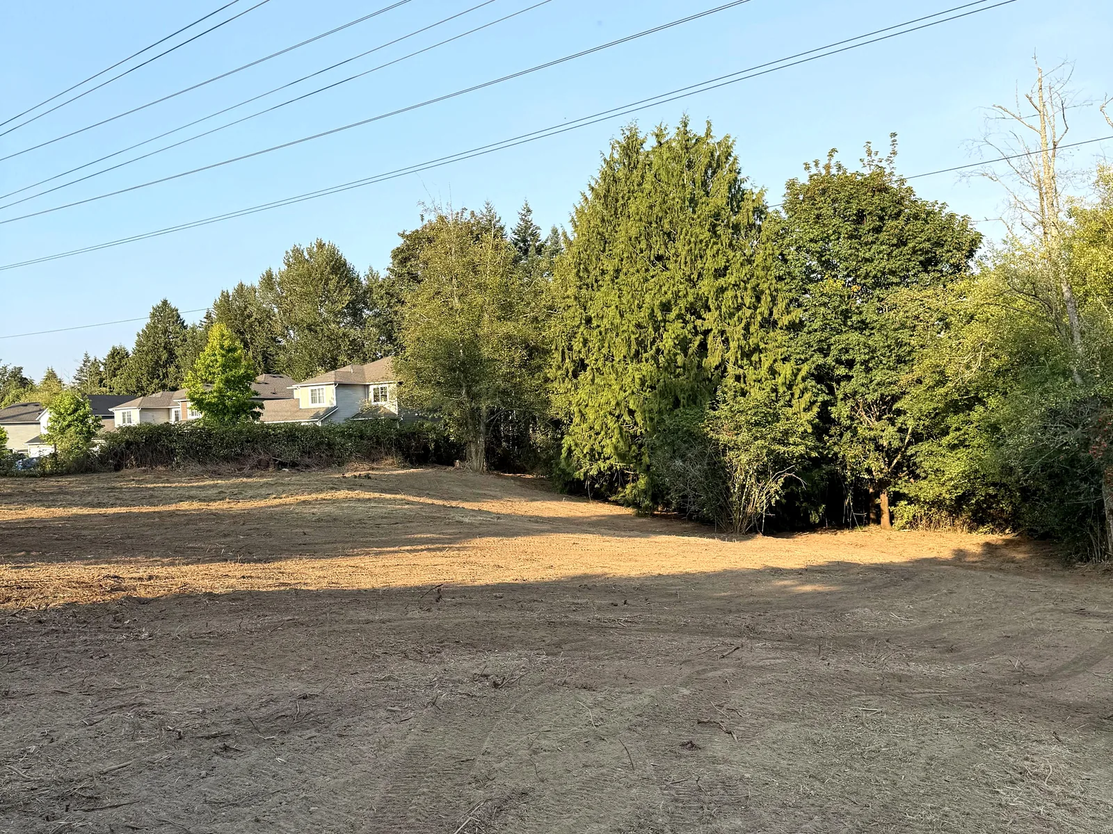 After: the same yard with the hedge removed down to bare soil, opened out to the bordering trees, houses and overhead utility lines