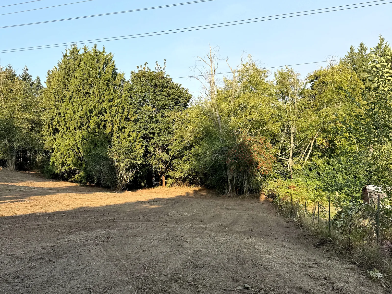 After: the same edge cleared to bare soil running beneath the retained trees and utility lines, alongside a fence and neighbouring properties