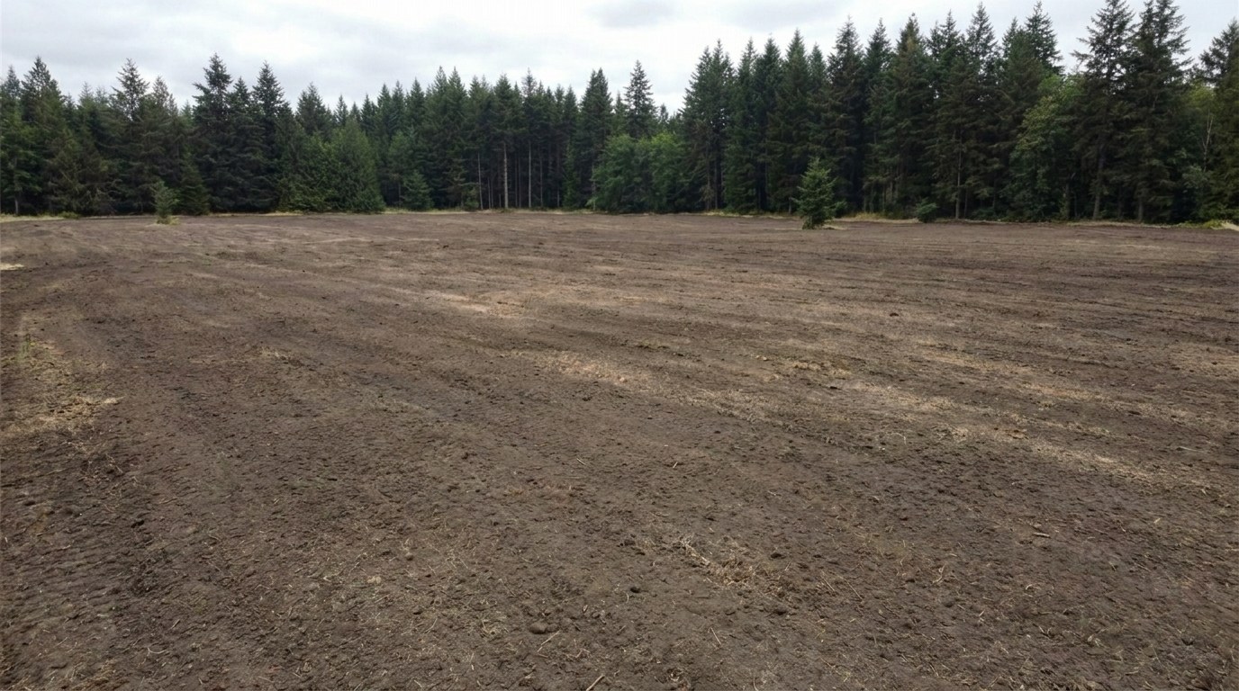 After: same acreage cleared to clean, usable ground by professional forestry mulching.