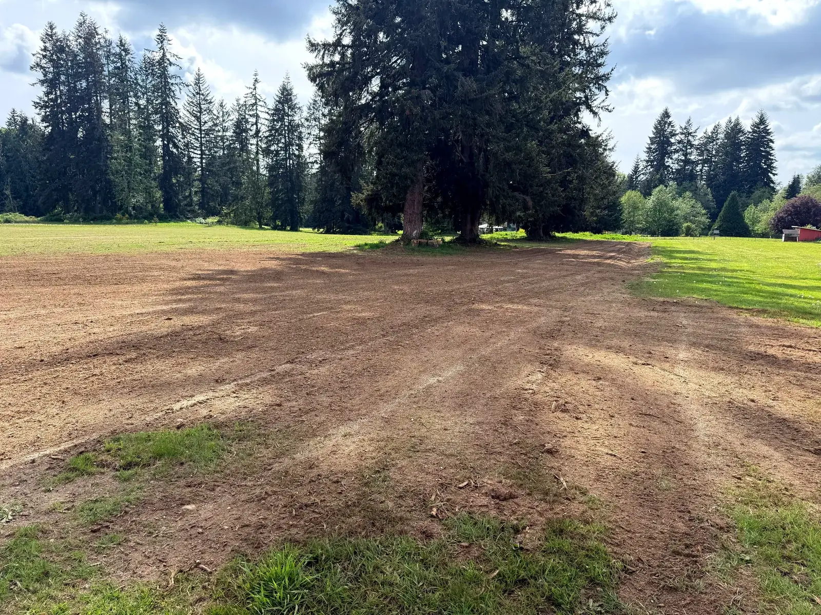 Finished: the same wide field with the debris cleared and the soil levelled to an even open surface, the evergreen tree line and neighbouring buildings unchanged behind it