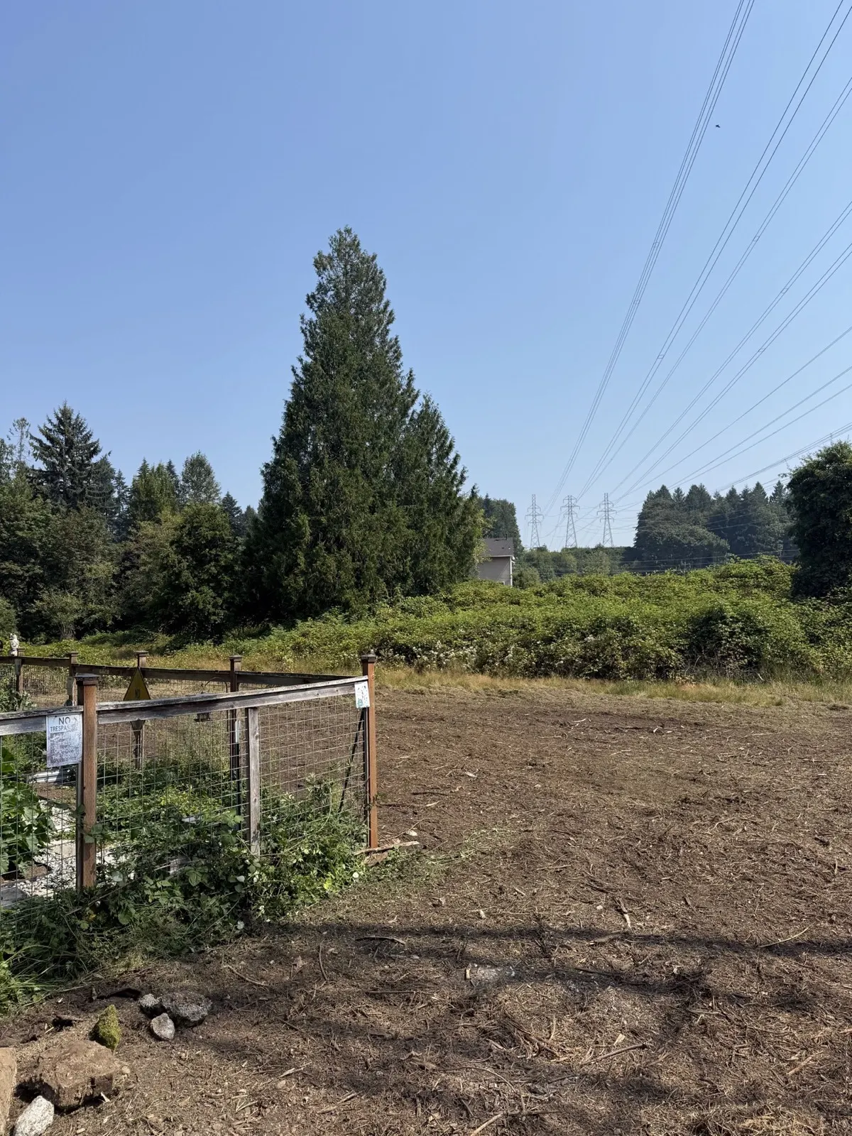After: the same field with blackberry growth removed to reopen usable ground beside the retained garden fence
